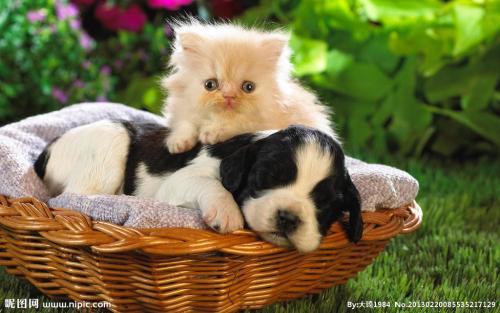 ձһ뾳߸ȾϷǳֵı¹ڲ