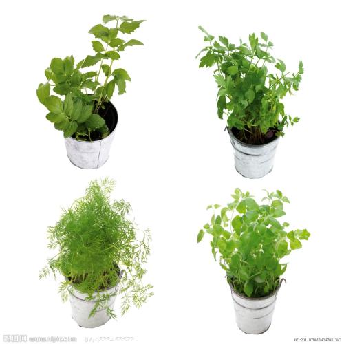 ͻ˹йԮͻҽƶӰ䷢֤